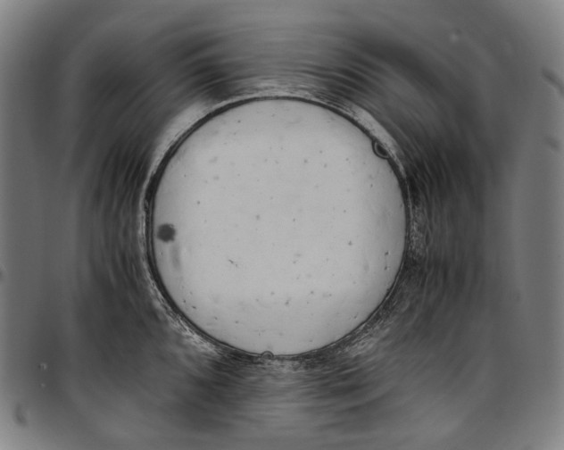 X0000096961096200802291115