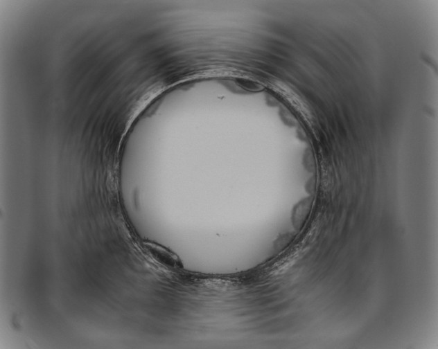 X0000096961097200802291115