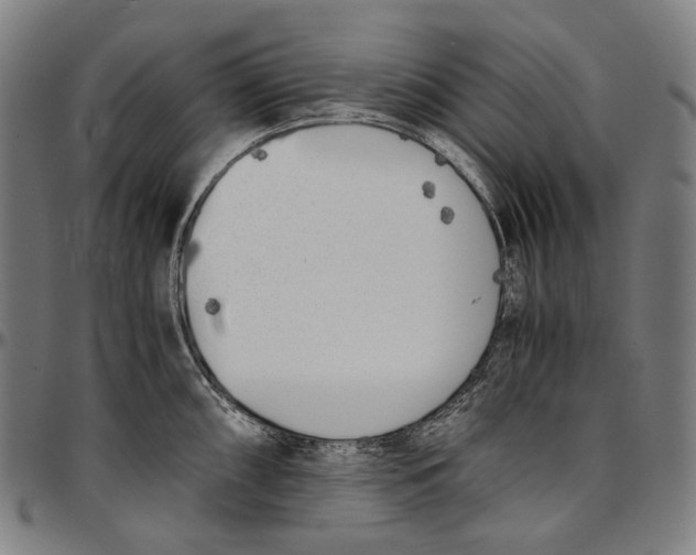 X0000096961098200802291115