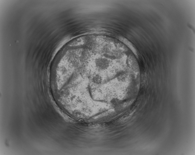 X0000096961099200802291115