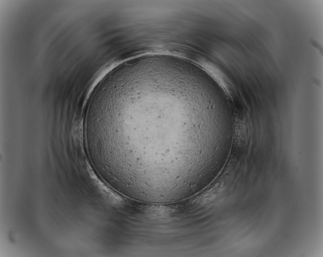 X0000096961100200802291115