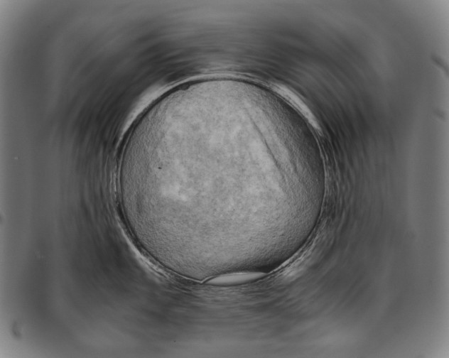 X0000096961101200802291115