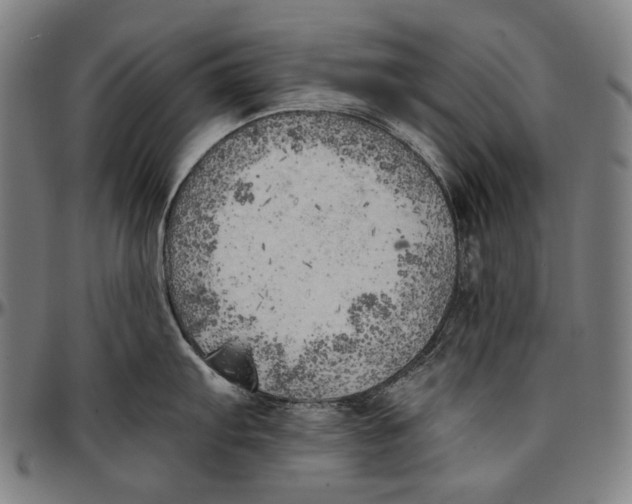 X0000096961103200802291115