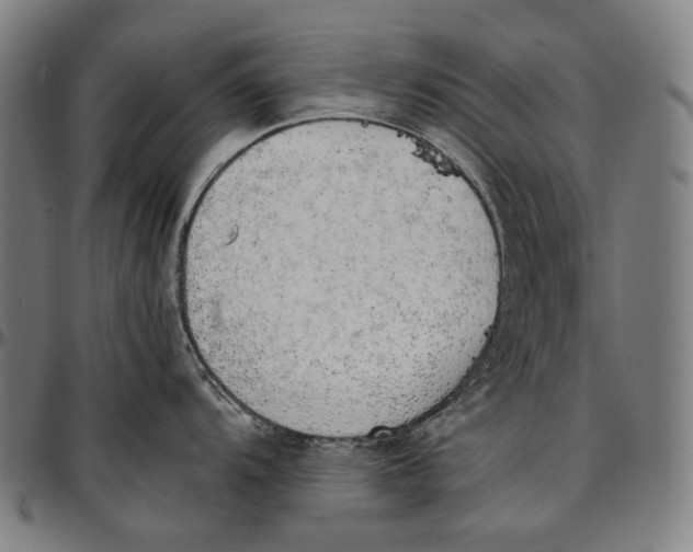 X0000096961104200802291115