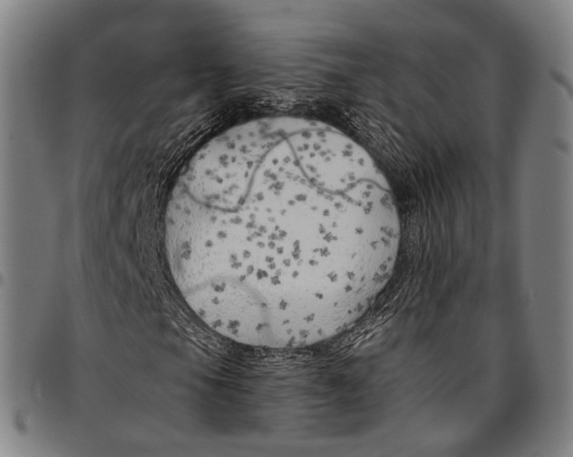 X0000096961105200802291114