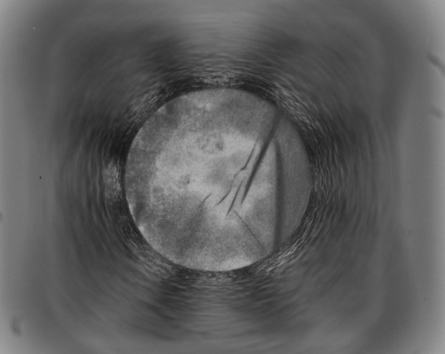 X0000096961106200802291114