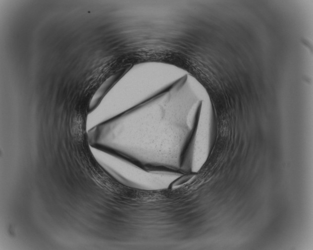 X0000096961108200802291114