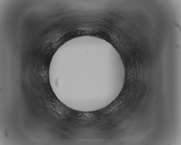 X0000096961109200802291114