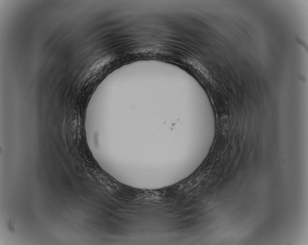 X0000096961111200802291114