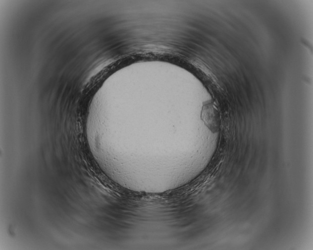 X0000096961112200802291114