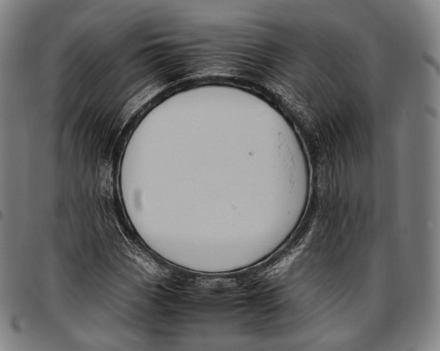 X0000096961113200802291114