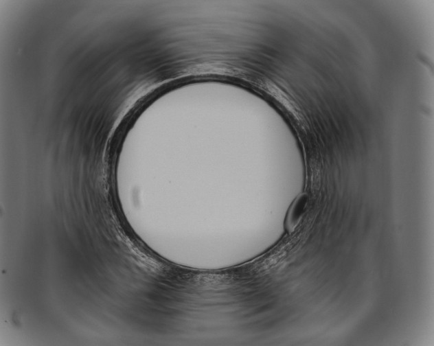 X0000096961116200802291114