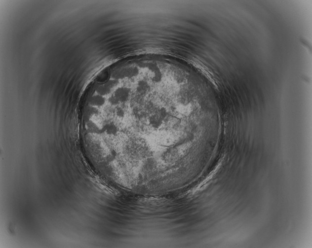 X0000096961117200802291114