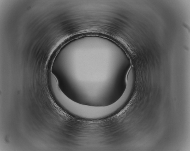 X0000096961118200802291114