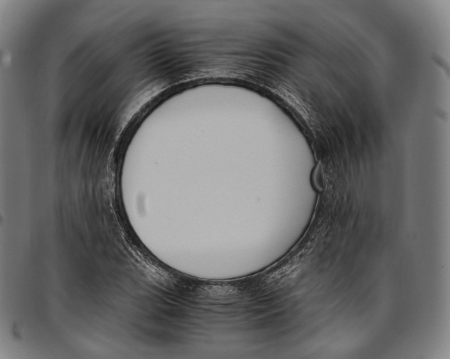 X0000096961119200802291114