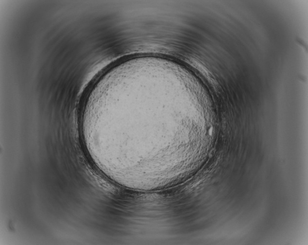 X0000096961120200802291114