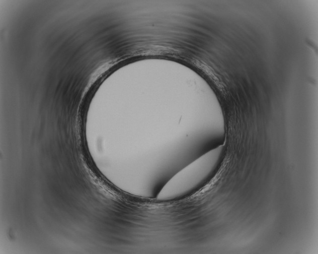 X0000096961122200802291114