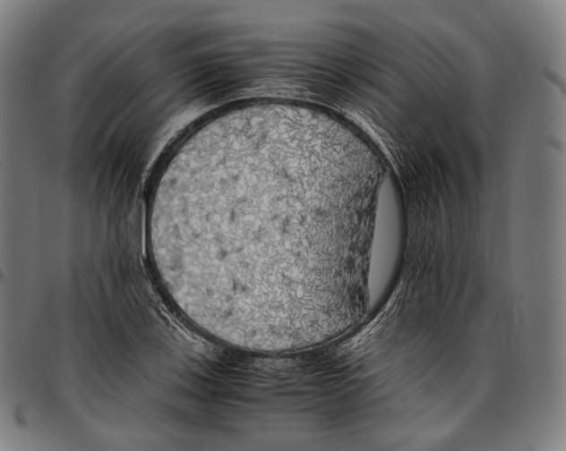 X0000096961123200802291114