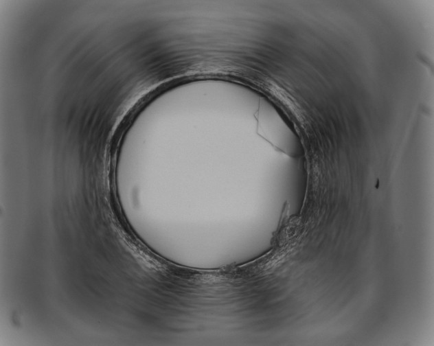 X0000096961124200802291114