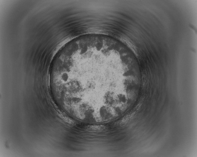 X0000096961125200802291114