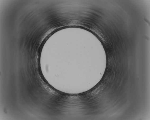 X0000096961126200802291114