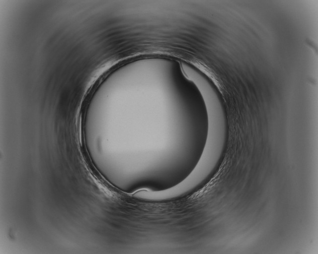 X0000096961127200802291114