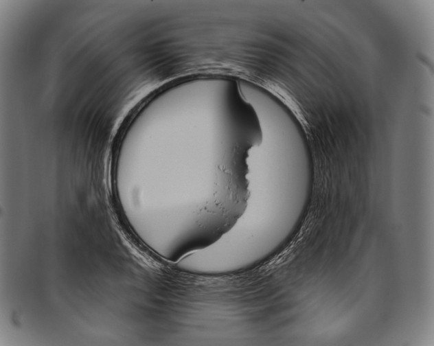 X0000096961128200802291114