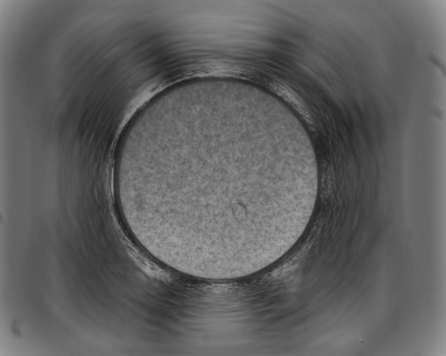 X0000096961130200802291114