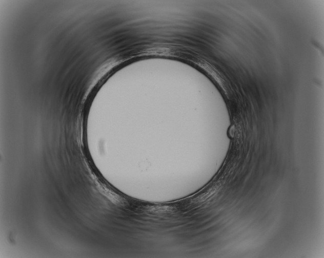 X0000096961131200802291114