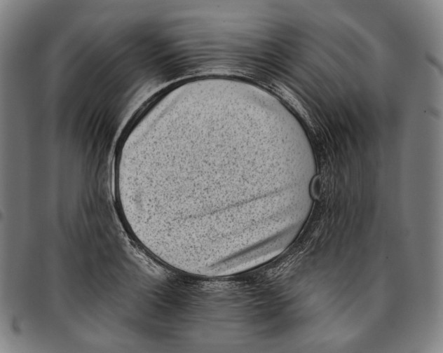 X0000096961132200802291114