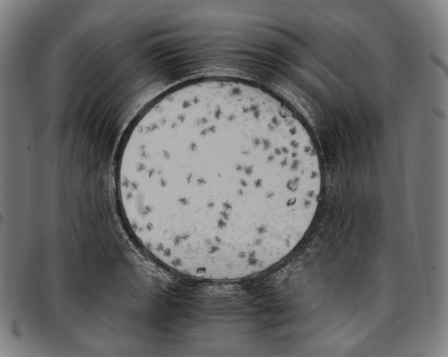 X0000096961133200802291114