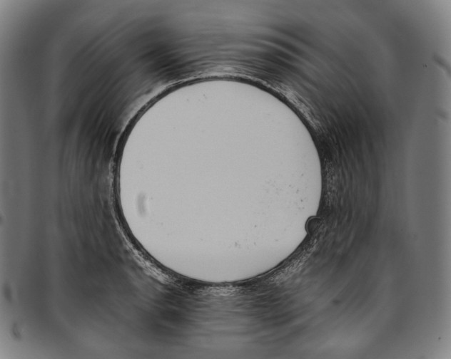 X0000096961134200802291115