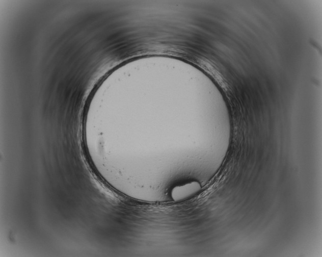 X0000096961136200802291115