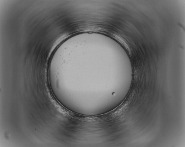 X0000096961138200802291115