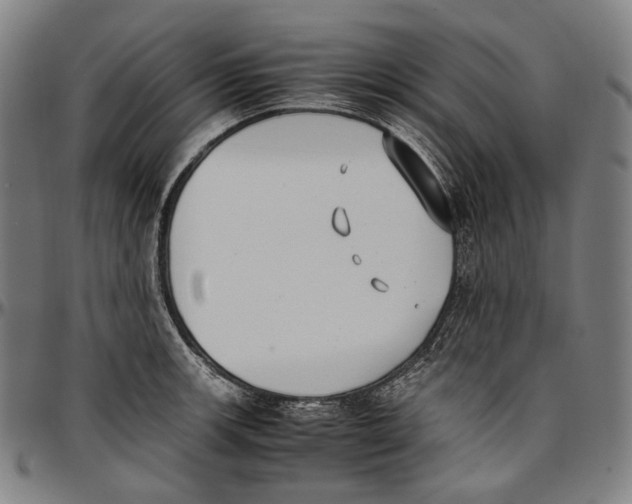 X0000096961139200802291115