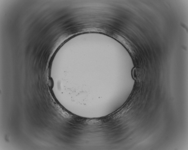 X0000096961140200802291115