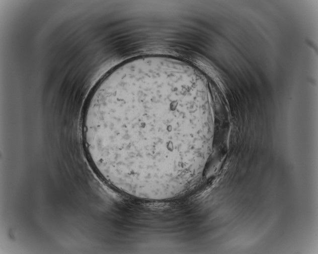 X0000096961141200802291115