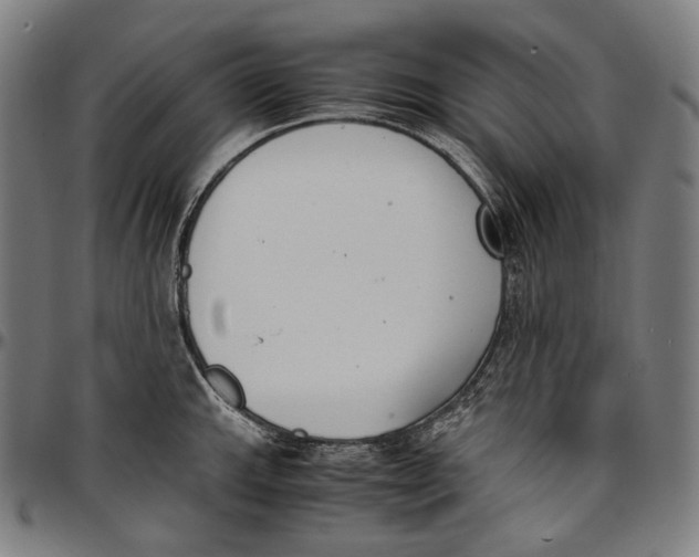 X0000096961143200802291115