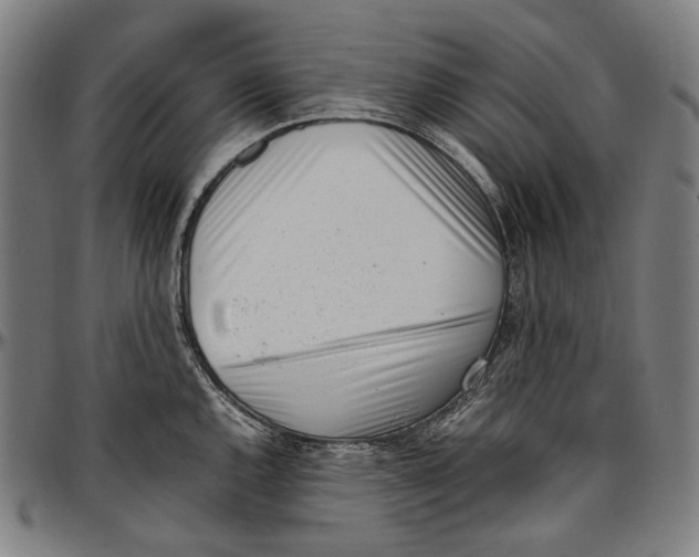 X0000096961144200802291115