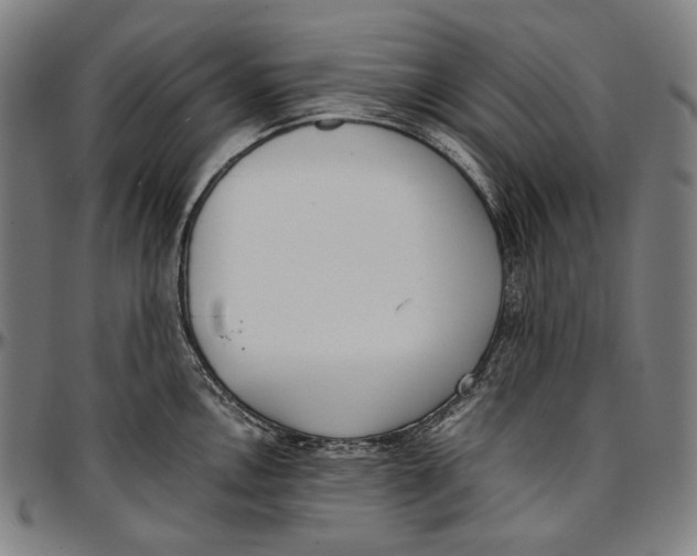 X0000096961146200802291115