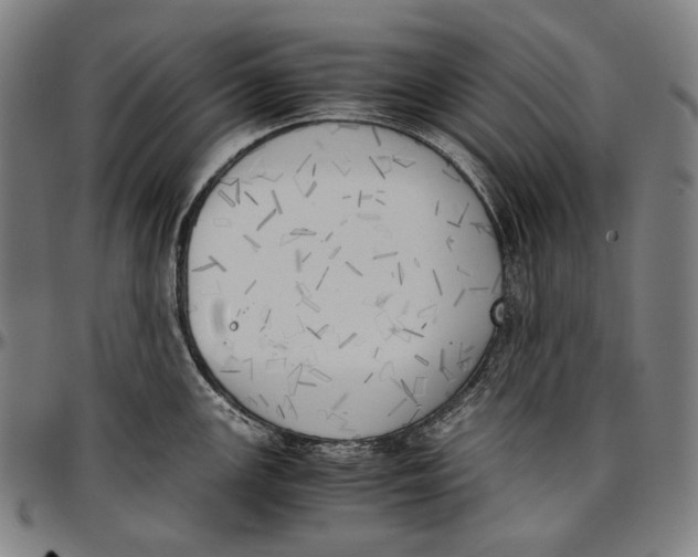 X0000096961147200802291115