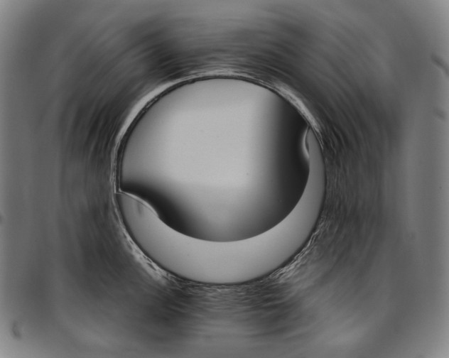 X0000096961148200802291115