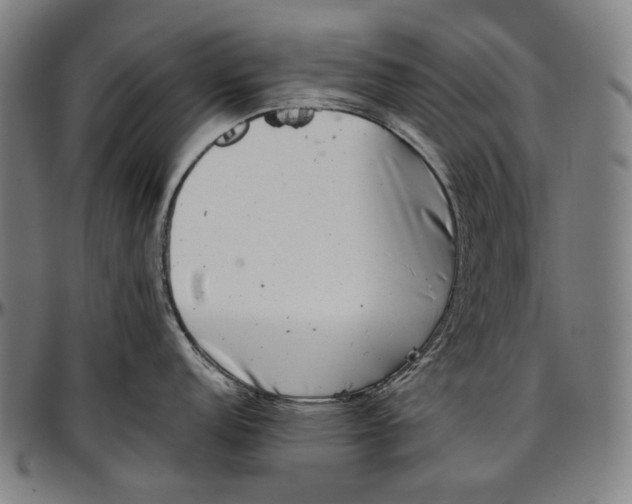 X0000096961152200802291115