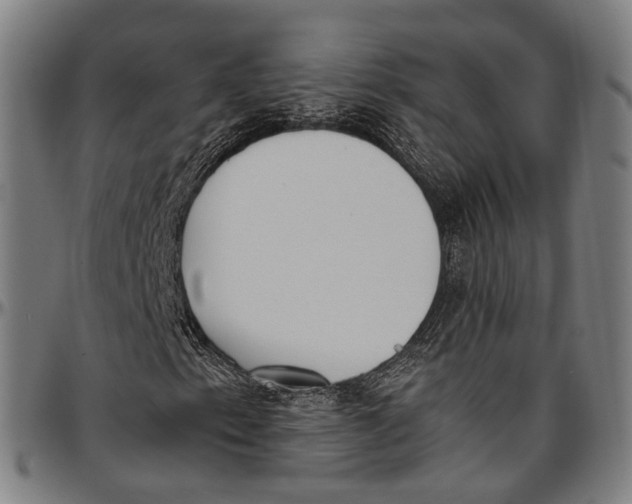 X0000096961153200802291114