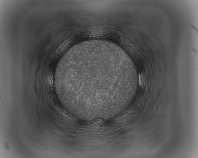 X0000096961155200802291114