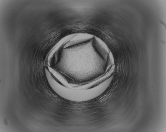 X0000096961156200802291114