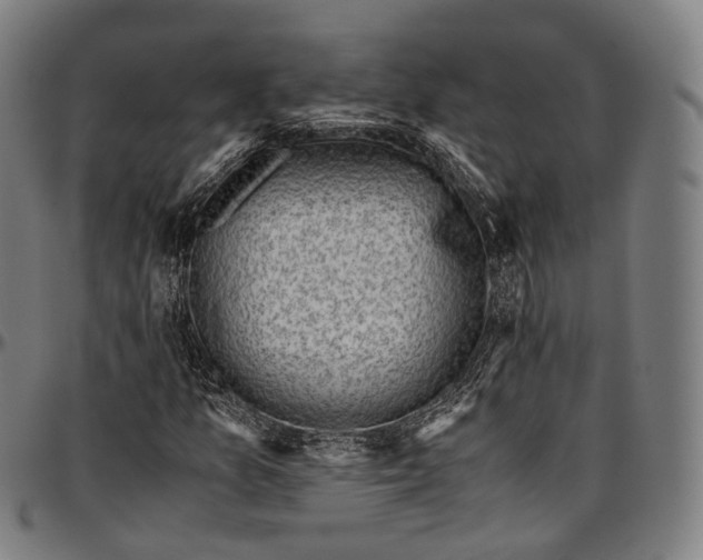 X0000096961157200802291114