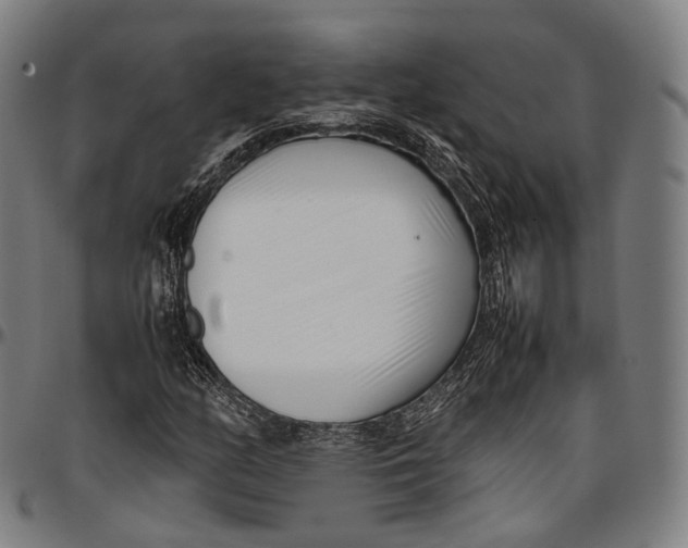 X0000096961158200802291114