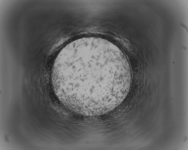 X0000096961159200802291114