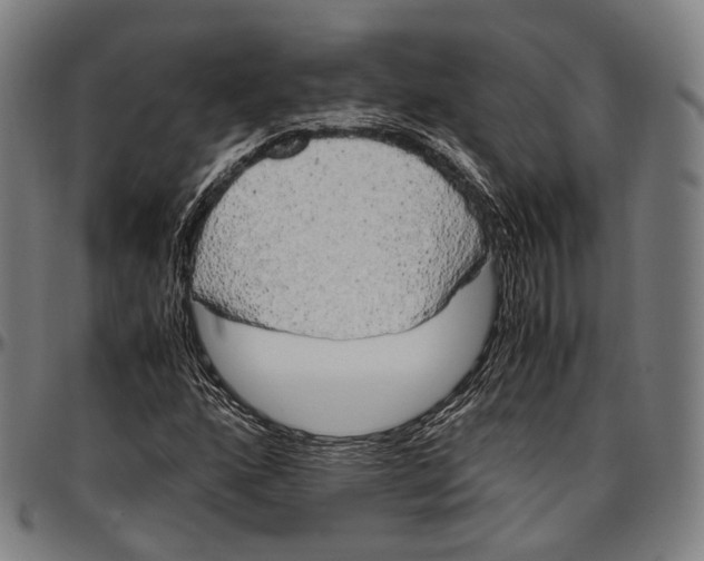 X0000096961160200802291114